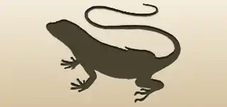 Lizard