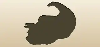 Cornucopia