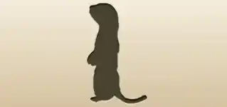 Weasel