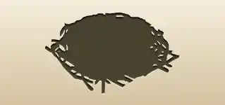 Nest