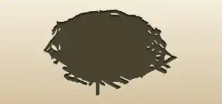 Nest