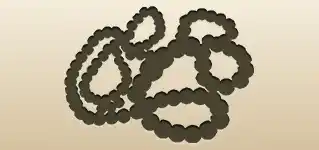 Bead Necklace