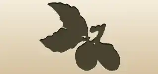 Acorns