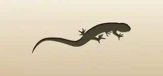 Lizard