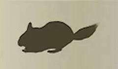チンチラのシルエット