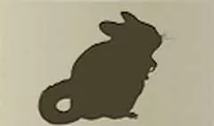 チンチラのシルエット