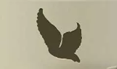 白鳥のシルエット
