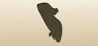 Lady’s Shoe
