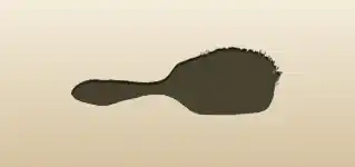 Hair Brush