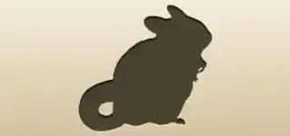 Chinchilla