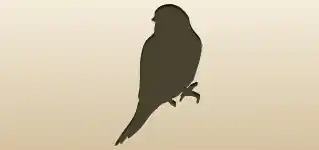 Canary