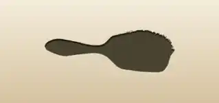 Hair Brush