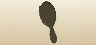 Hair Brush
