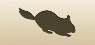 Chinchilla