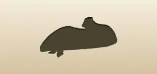 Lady’s Shoe