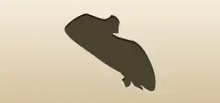 Lady’s Shoe