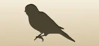 Canary