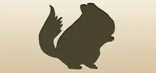 Chinchilla