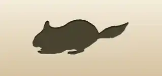 Chinchilla