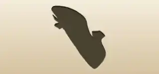 Lady’s Shoe