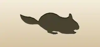 Chinchilla