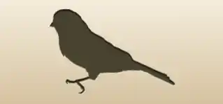 Canary