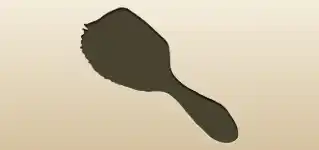 Hair Brush