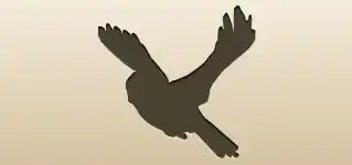 Canary