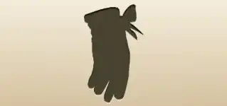 Glove