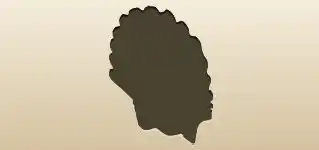 Shell