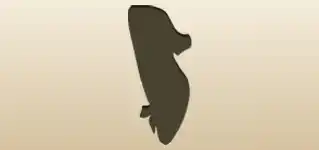 Lady’s Shoe
