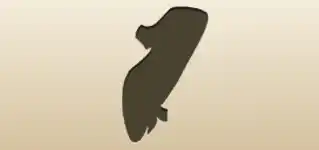 Lady’s Shoe