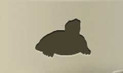 Turtle silhouette #4