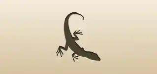 Lizard