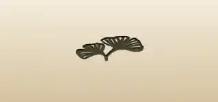 Ginkgo Leaves