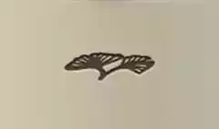 イチョウの葉のシルエット