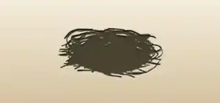 Nest