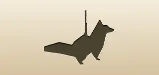 Raccoon