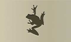 Frog silhouette