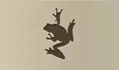 カエルのシルエット