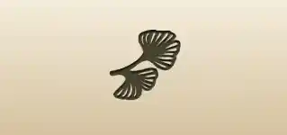Ginkgo Leaves