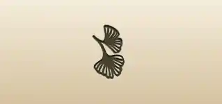 Ginkgo Leaves