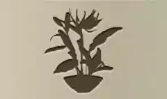生け花のシルエット