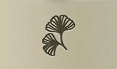 Ginkgo Leaves silhouette
