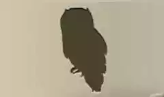 フクロウのシルエット