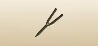 Pruning Shears