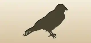 Crow