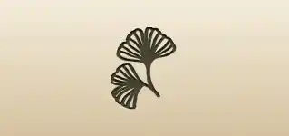 Ginkgo Leaves