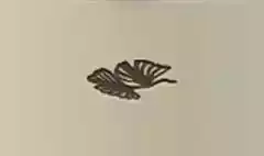イチョウの葉のシルエット