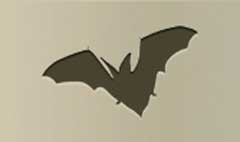 Bat silhouette #2